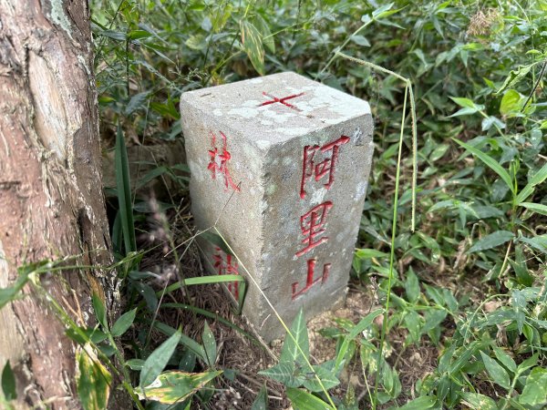 雲嘉十八連峰1932649