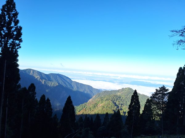 大雪山森林遊樂區之烏石坑山+山椒山(210林道)202401102400540