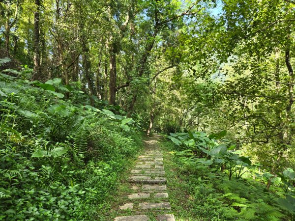 池南國家森林遊樂區2595257