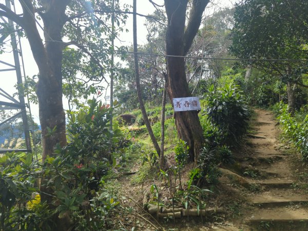 2026.01.25－微笑山線：【天上山系】烘爐地土地公段2994606