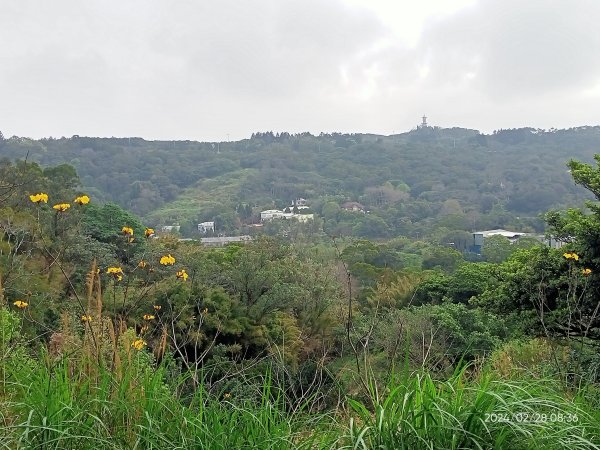 大安森林公園、桃園楊梅秀才登山步道走春趣2441997