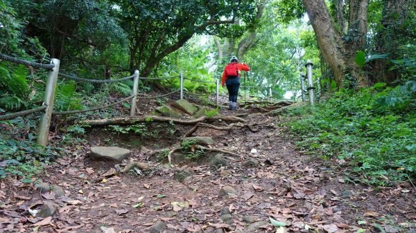 經典郊山步道縱走，關渡縱走新北投131837