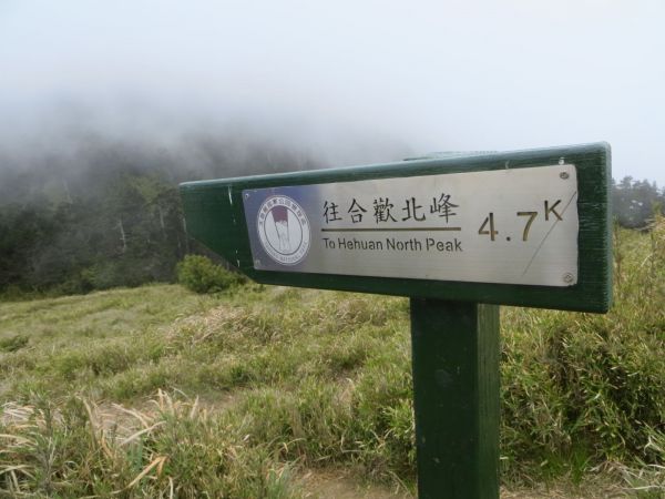 合歡西北峰(夏季北峰與母親節期西北峰)126792