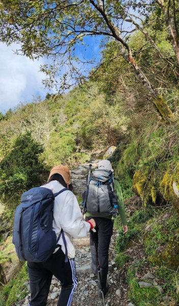 玉山前峰，關子嶺大凍山，宜蘭拳頭姆自然步道2313392