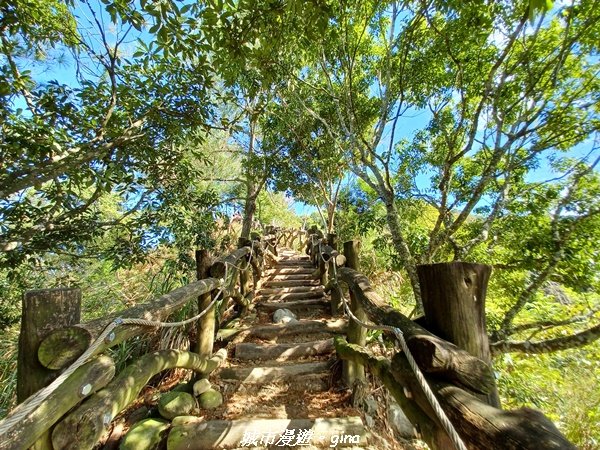 【台中北屯】台灣百大必訪步道。 全台少見的圓木步道。 大坑四號步道 ( 小百岳頭嵙山)1958335