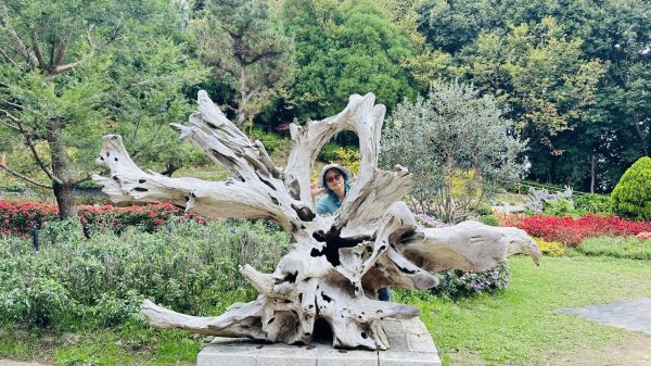 清泉 雪霸農場 野馬瞰山2925921