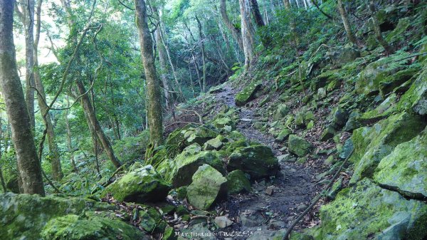 《苗栗》遺世鐵道｜悠遊加里山大坪支線至避難山屋202508222867488