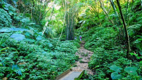 桃園石門山2916119