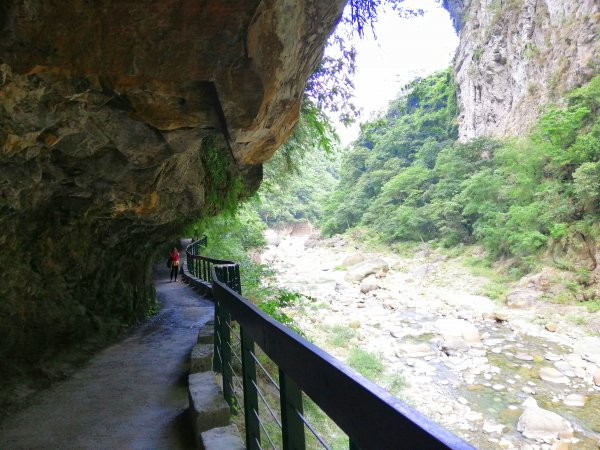 花蓮秀林~峻秀峽谷山水石壁畫~砂卡礑步道1039792