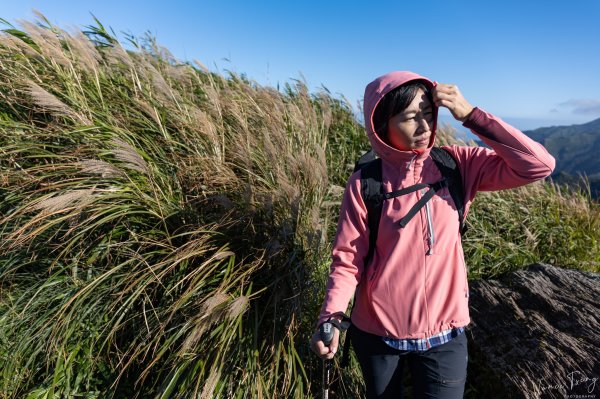 小觀音山尋芒去737144