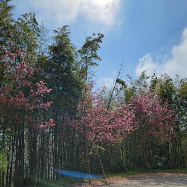 集集大山、車埕步道（小百岳）1628786