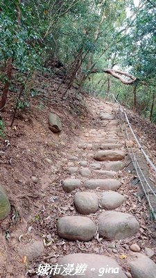 【苗栗三義】台灣百大必訪步道。 火炎山、南鞍古道O繞x火炎山下花海2954149