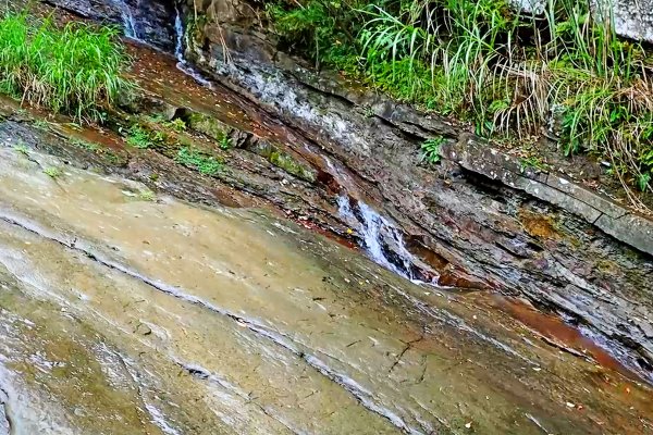 淡蘭古道中路百年山徑~暖東峽谷大環步道2846413