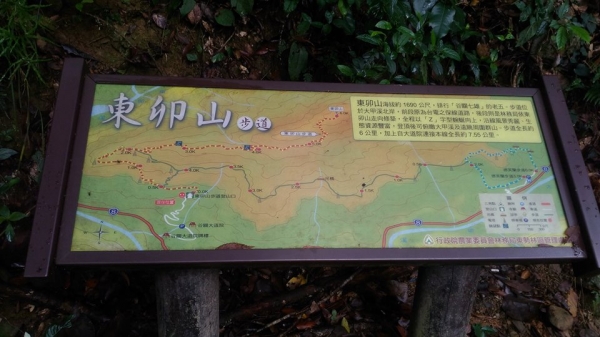 東卯山〈1692M〉（谷關七雄）261239