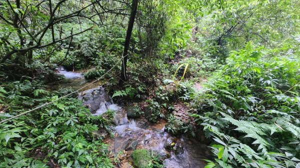 峰頭尖~峰頭尖東峰2761340