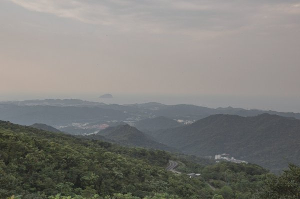 20200411-五分山步道918731