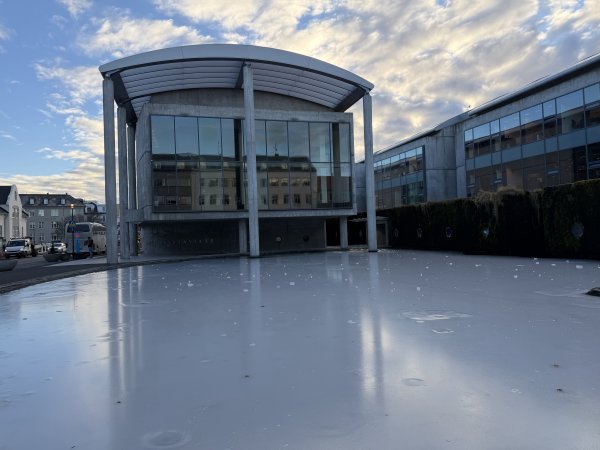 [紐約馬之行-21] 2025_1104 托寧湖(Tjörnin)2946335