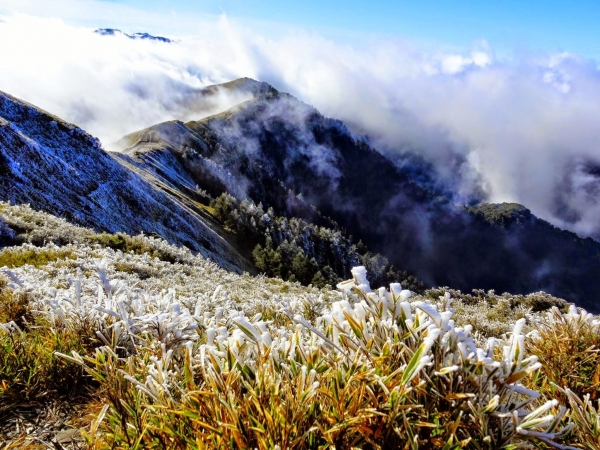 冷酷異境 ,合歡山主峰步道 2014-12-1420439