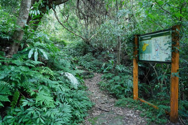新北 烏來 大刀山、拉樸山、阿玉溪山2704942