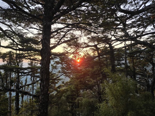 20260319-0324 南一段3036482