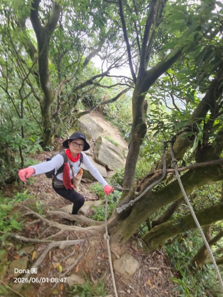 新店小百岳獅頭山+古蹟遺址O走3071938