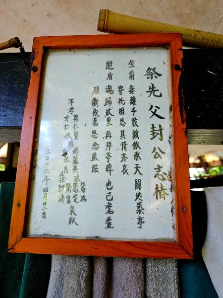 (天上山系)望月亭桐花-2025微笑山線大縱走尋寶集章任務2870358