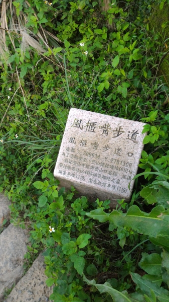 陽明山東段縱走93363