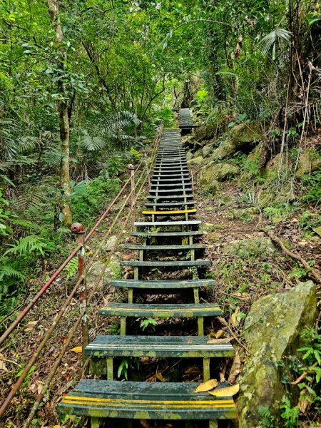 得卡倫步道2833834