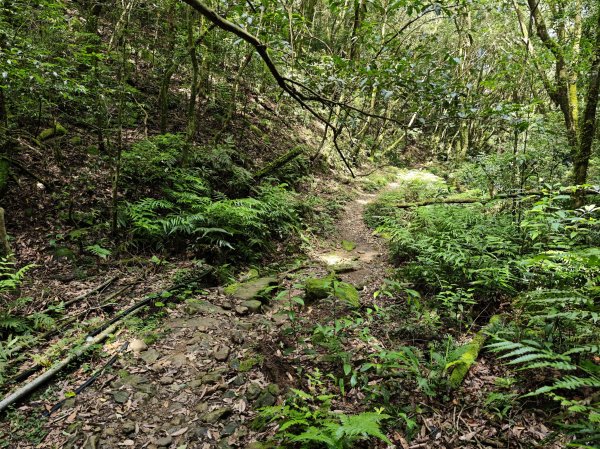 2025_0601 赫威山2802305