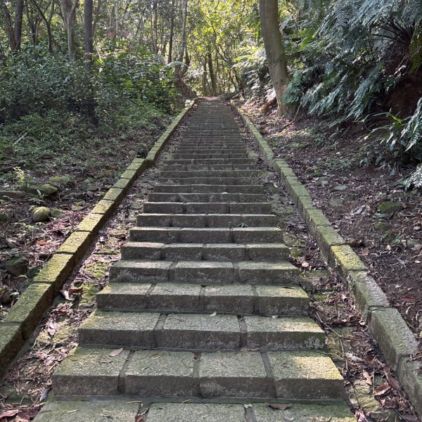 大崙頭山、大崙尾山2922652