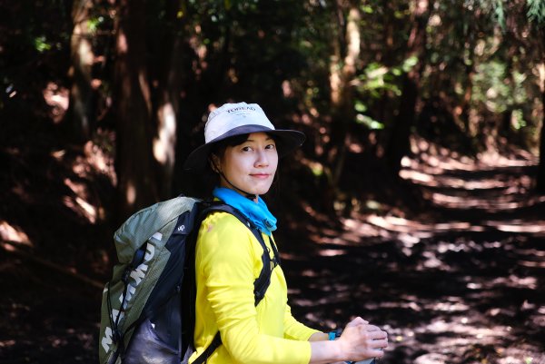 雪見大板根2924711