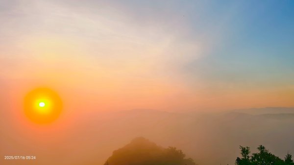 雲山水花鳥蝶-天龍國阿伯的日常 7/162838411