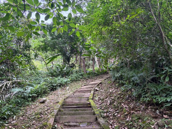 鯉魚山步道群2728316