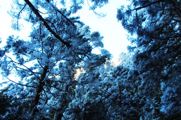 玉山  風雪後 , 另一番美景 !224513