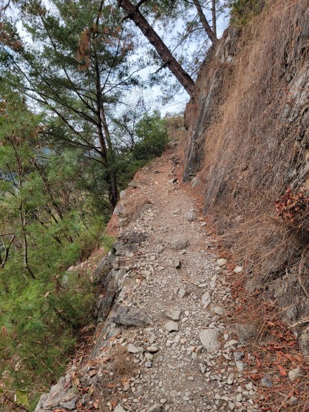 2026-0201-東卯山3013013