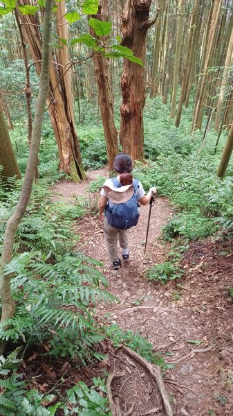 【苗栗南庄】向天湖山光天高山小O繞2933165