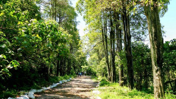 三汀山,苗圃,蝙蝠洞2787362
