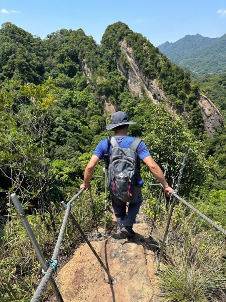 孝子山、普陀山、慈母峰賞鹿子野百合O走2592932
