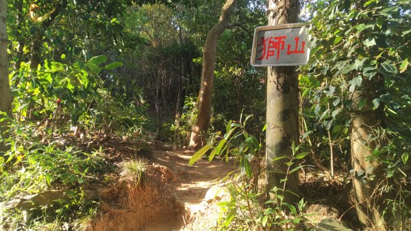 2021.3.14與昶星的四獸山步道連走之旅1421020