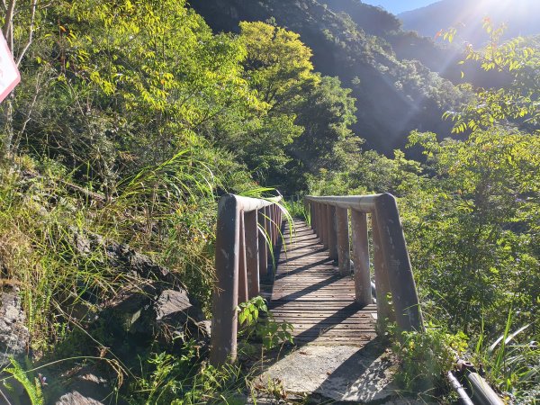 [玉山尋寶任務-07/12] 2025_0824 八通關雲龍瀑布步道2870573