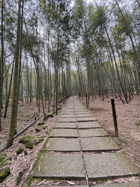 孟宗竹古戰場步道2723515