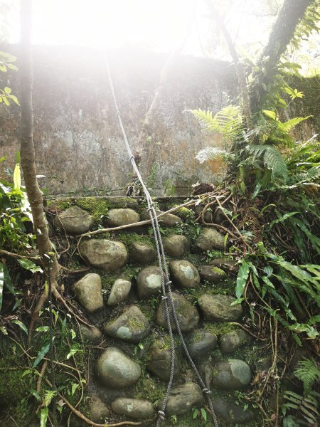 二格山越嶺貓空2735632