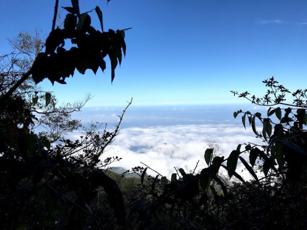 加里山大坪登山口201911241965159