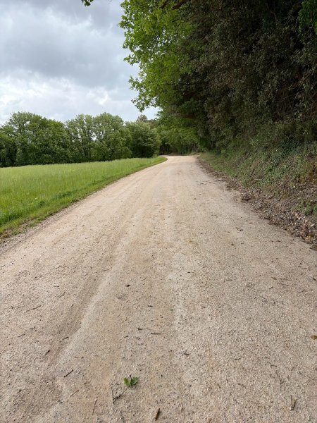 Via Francigena D2: Colle di Val d’Elsa-Monteriggio3072731