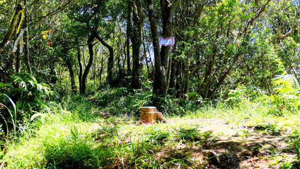 黃櫸皮寮山2898307