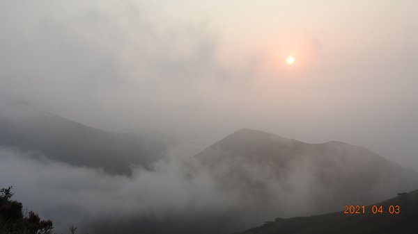 0403仙境般雲霧飄渺，陽明山再見雲海&夕陽，觀音圈雲瀑若隱乍現1331567