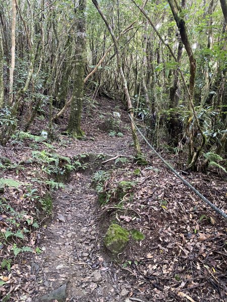 20250713-Ep.10李崠山步道-2025森遊竹縣皮皮獅探險隊2851957