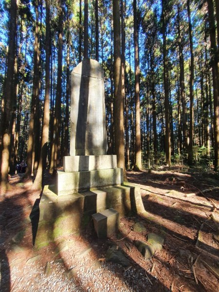 【阿里山鄉】二萬坪步道及神木黑森林1585492