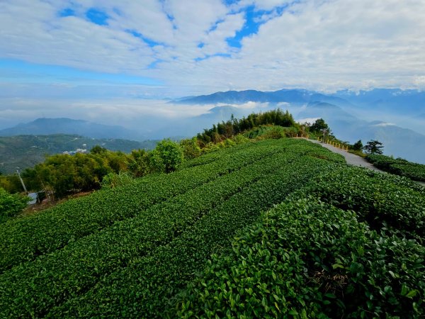 挑筍古道(大尖山、後棟仔山步道)--(雲林)臺灣百大必訪步道2955754