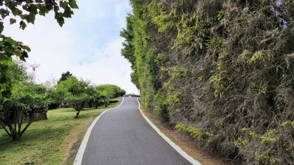 阿里山森遊區-祝山,對高岳步道2537006